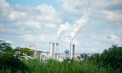 Article mis en avant ! : L’hydrogène vert, une solution prometteuse pour un avenir décarboné !